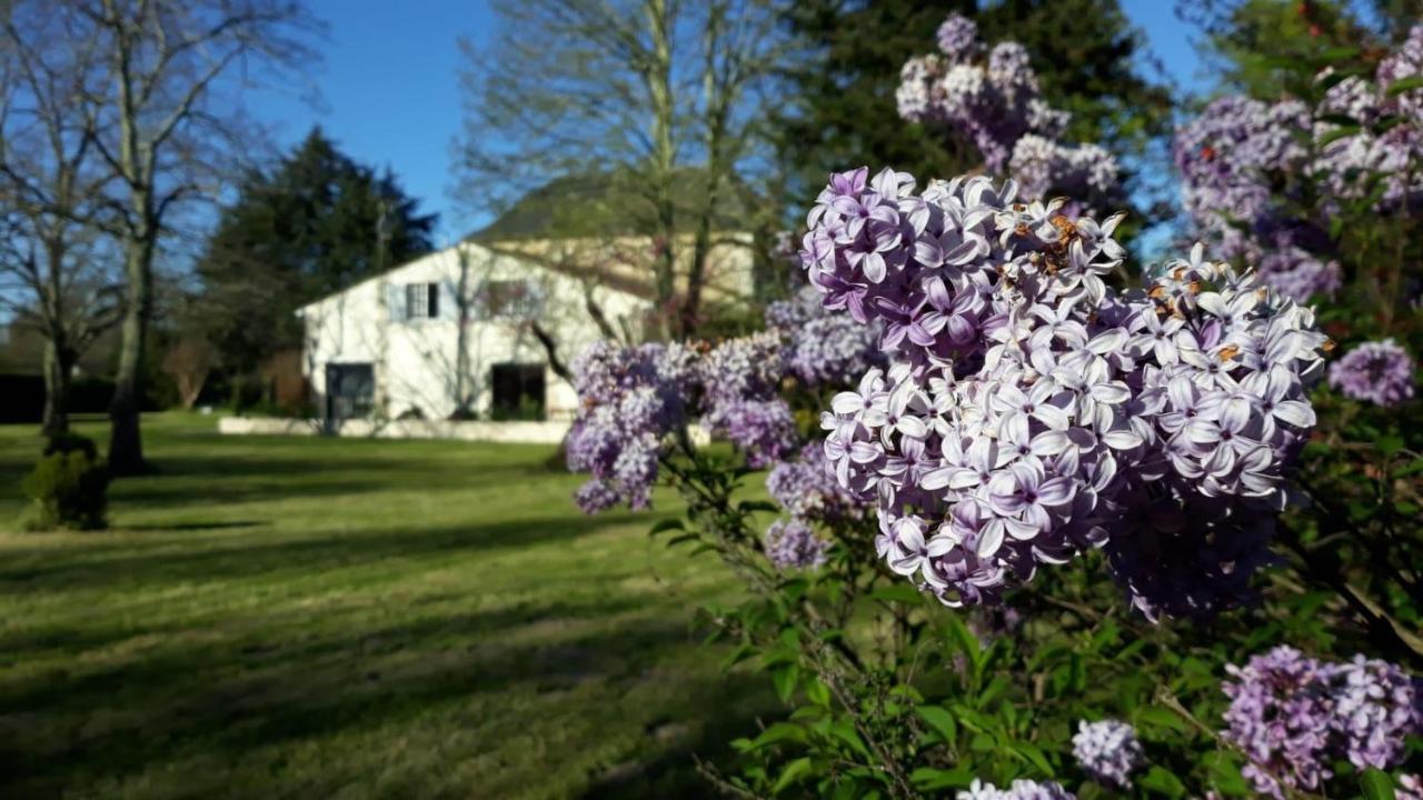 La Maison Du Champ De Beaumont Galgon Eksteriør billede